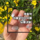 목동 오목교 네일 딤플네일 여름맞이 자석젤 추천