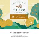 디자인환 이미지