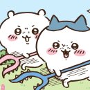 루나소품