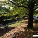 호암미술관 이미지