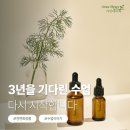 가인공방 | 출산 후 다시 시작한 아로마 수업 / 3년 만의 배움, 가인네이처 클래스 후기