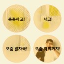 U.P.H(유니온펫유통) | [유피에이치펫 백년애]강아지배변패드