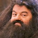 시크헤어 이미지