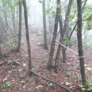 충북알프스자연휴양림 이미지