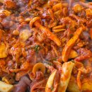 동해안로R 이미지