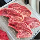 소희수산 | 뉴질랜드 남섬 캠퍼밴 여행기(10/1~14) #5. DAY 11~12 : 크라이스트처치/여행 마무리 편