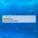 [오키나와여행]_day3(북부버스투어(하루하루투어))
