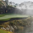 여주-0300 이미지