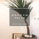연남동 디저트카페, 타르트 맛집 '아라리오브네' 후기