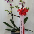 새서울DMC약국 이미지