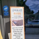 금화한의원 | 진주 초전동 효소 찜질 금화효소원 추천 추천