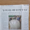 자라바위 이미지