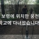 웅천초등학교 앞 이미지