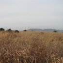 임기 지장암 이미지