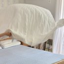 삼성공구백화점 네이버블로그