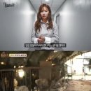 동물농장 이미지