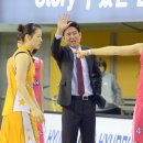 금상첨화 이미지