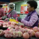 단양죽령사과 이미지