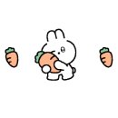 마라이젠김밥 이미지