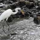 유진여관 이미지