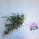 오렌지호텔 이미지