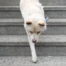 희연농장 이미지