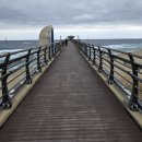 전기차충전소_제주대학교(학생주차장) | 울진 국립해양과학관 후기 무료입장, 주차, 전기차 충전기 없음 (주의)