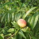 주형농장 이미지