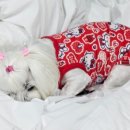 주노무인호텔 이미지