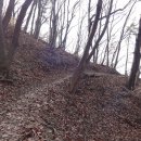 대천공원4호 이미지