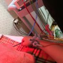 오디한의원 이미지