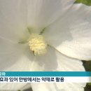 무궁화에너지