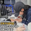 네일비결