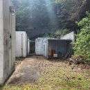 무릉도원면-40 이미지