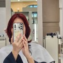 레드브라운 염색 추천 둔촌동 미용실 유비크 둔촌점 수현 실장님 후기