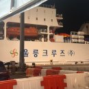 울릉크루즈투어 | 울릉도 [울릉크루즈] 포항 영일만항·울릉도 사동 왕복 후기│이용방법, 소요시간, 가격, 무료 셔틀 등