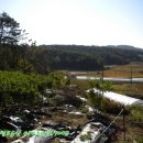 덕산양계 이미지