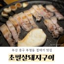 부평동주민센터 | [부산 중구 남포동] 초필살 남포 껍데기, 오겹살 맛집 내돈내산 후기 - 초필살돼지구이 남포점