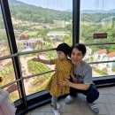 용인가볼만한곳 소문난 용인자작나무숲 개인적인 아쉬움