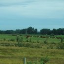 록키모텔 이미지