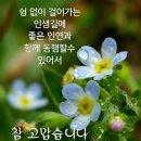오늘은좋은마음 이미지