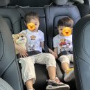 신데렐라세탁소 - 용인시 기흥구 한보라1로64번길 10 | 신데렐라세탁소
