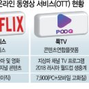 영화스포츠
