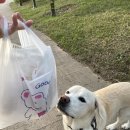 쿠키네 제과점 이미지