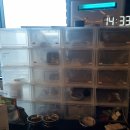 멍멍유치원 이미지