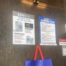 돌돌워시