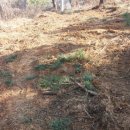 기룡농장 이미지