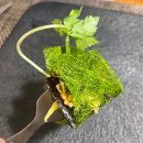 늘채움 | [전주] 분위기 좋은 한식 다이닝바 디너 코스 솔직후기 "늘채움"