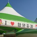 카페 남원역 | [함양 여행] 2박 3일 촌캉스 '고마워 할매' 후기 : 로컬 먹케이션 힐링 (주말토리 경험상점)