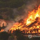 12일째 계속되는 미 캘리포니아 산불 이미지